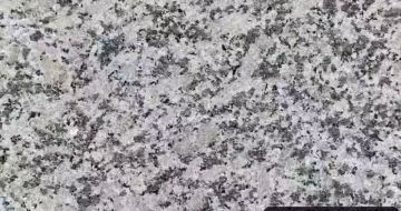 崇左 芙蓉白（芝麻白大花）火烧面