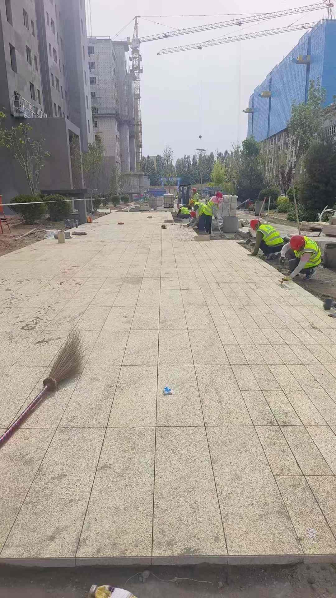 崇左黄金麻荔枝面地铺案例